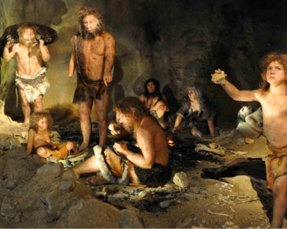 Genetic Study insights into Human-Neanderthal Interbreeding