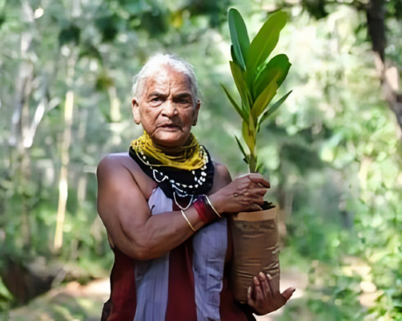 Tulsi Gowda: 'Encyclopaedia of Forest' passes away